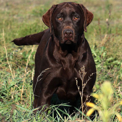 Moka 3 ans