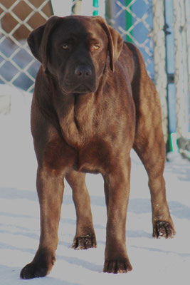Louka 10 mois