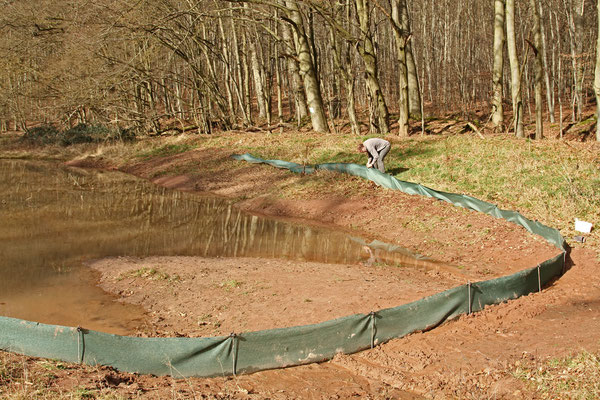 Nordseite bleibt für Rückwanderung offen