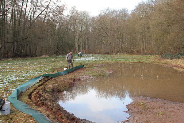 Zaun am erweiterten Ersatzgewässer