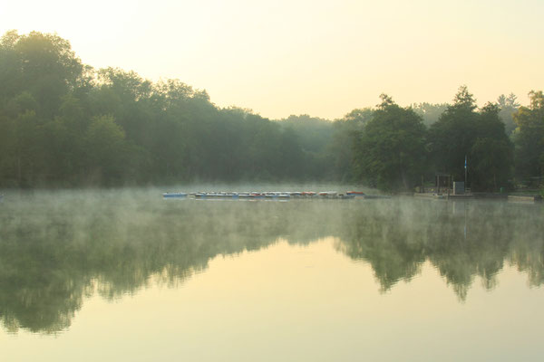 Zunehmend herbstliche Stimmung am Teich