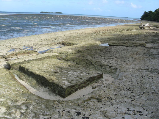 Grabplatte aus Korallenstein