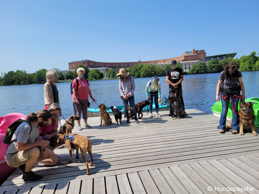 Dutzendteich erkunden