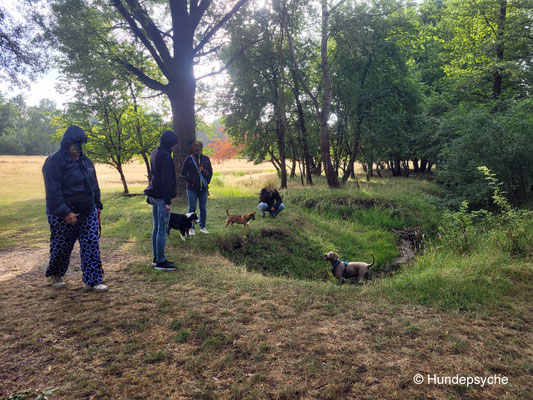 Gruppenspaziergang im Sommer_Juli_2025