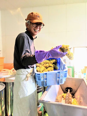 The machine to remove the stem and crush the bunch. Be careful or your fingers will be cut off.