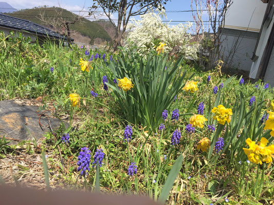 spring color