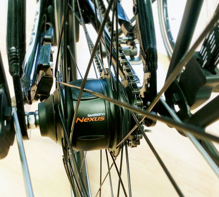 NRG BIKE Bolzano vendita e assistenza biciclette classiche ed elettriche