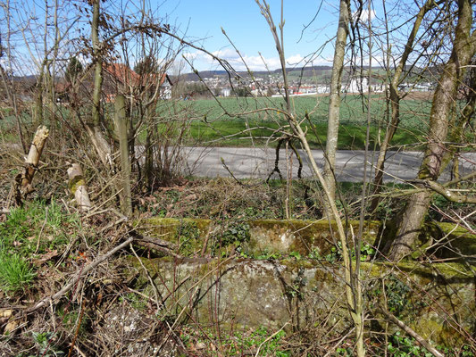 Der zerbrochene Trog versinkt immer tiefer im Waldboden.