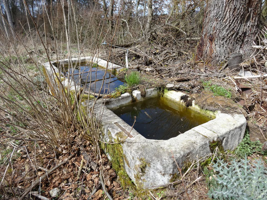 Grosser Brunnen mit zwei Trögen