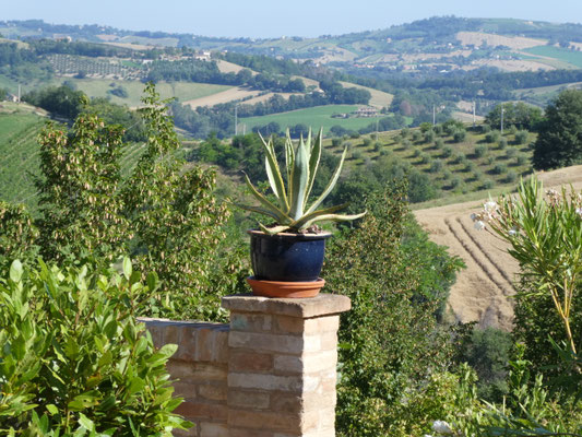Mooie vergezichten op het de glooiende heuvels en de Apennijnen