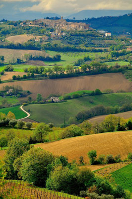 Vanaf het terras is dit het uitzicht!