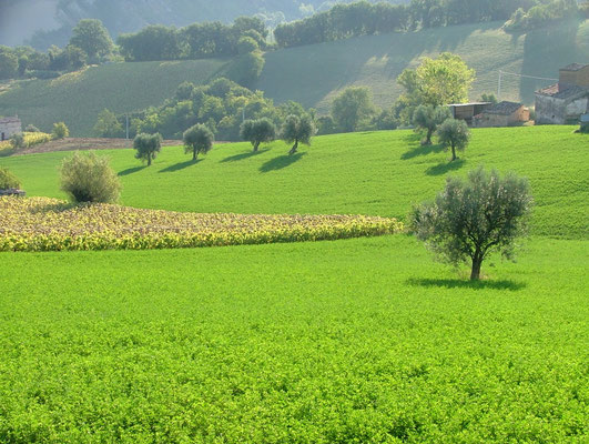 Veel wandelingen in directe omgeving van Casa Castagno