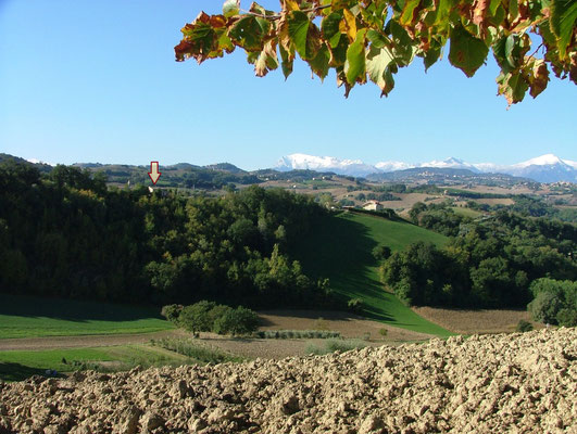 Ligging Casa Castagno in Marchiaanse landschap