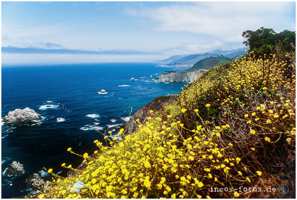 Big Sur, CA