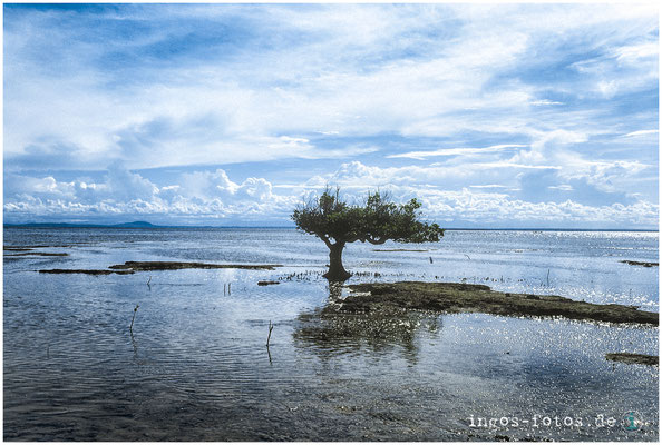 Shimoni, Kenia