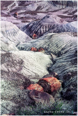 Aus der Zeit gefallen, Petrified Forrest Ntl. Park, AZ