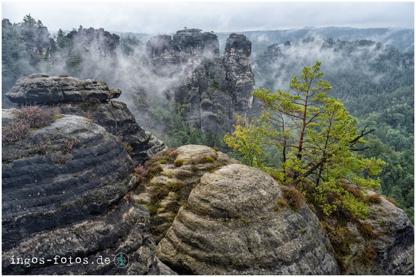 Elbsandsteingebirge, Sachsen