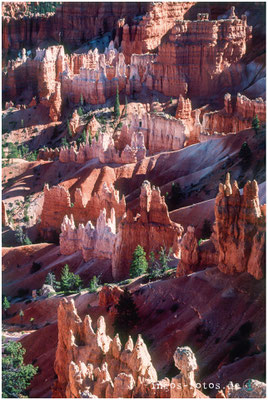 Sunrise Point, Bryce Canyon Ntl. Park, UT