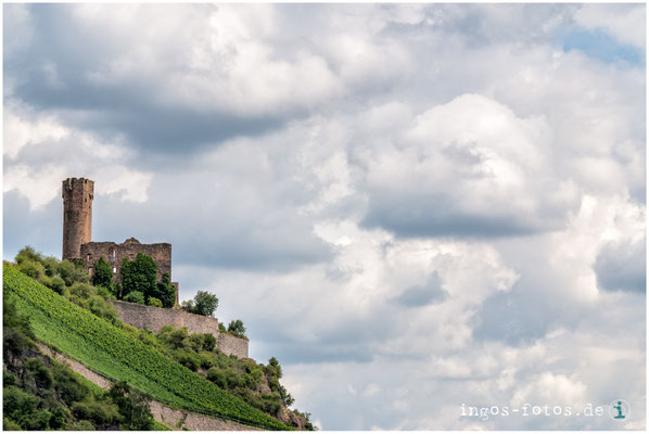 Burg Ehrenfels, Rhein