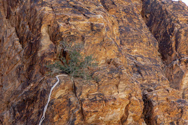 Matthias Gößmann: Kaokoveld, Namibia-6