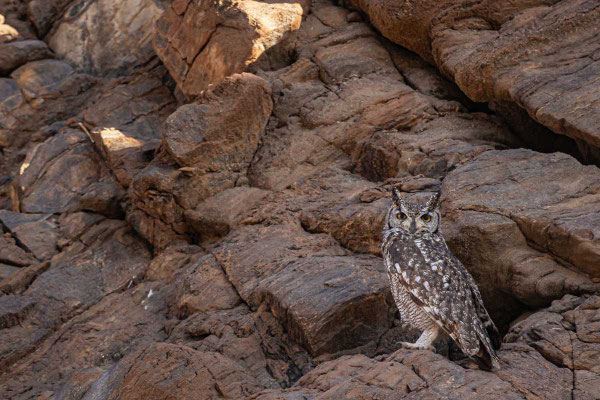 Matthias Gößmann: Kaokoveld, Namibia-7