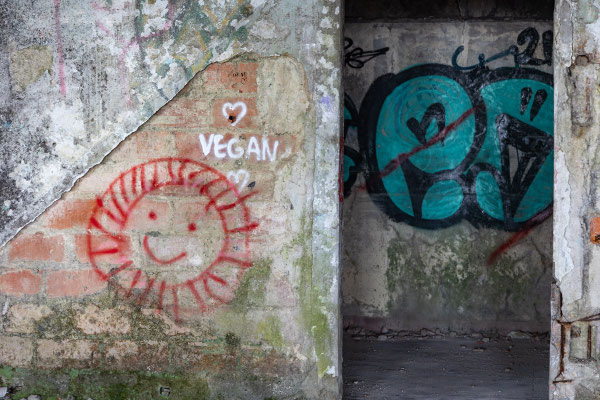 Matthias Gößmann: Valongo Sanatorium in São Pedro; Portugal - 12
