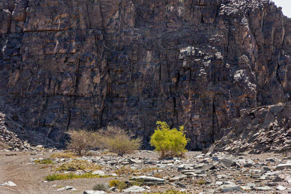 Matthias Gößmann: Damaraland, Namibia - D2303-7