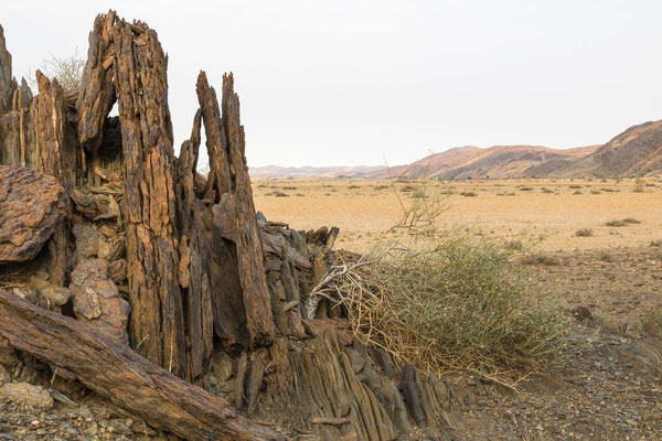 Matthias Gößmann: Naukluft Nationalpark; Namibia