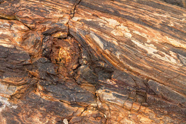 Matthias Gößmann: Damaraland, Namibia - versteinerter Wald-2