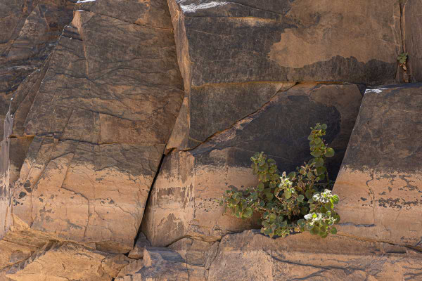 Matthias Gößmann: Damaraland, Namibia - Ugab River-2