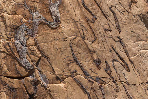 Matthias Gößmann: Damaraland, Namibia - D2303-5