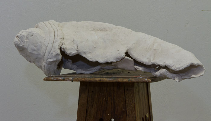 Frank Talloen, 48x17x16, Clay, 2013.S15
