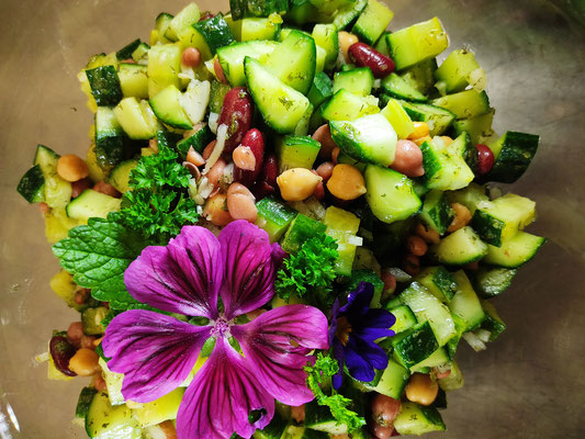 Bunter Salat | Gurke - Hülsenfrüchte - vegan