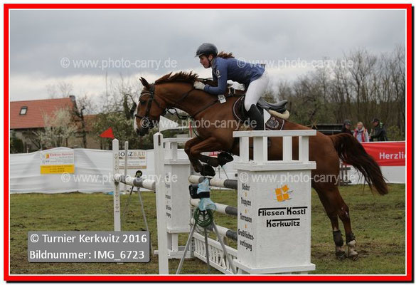 Springprufung Kl L 11 Photo Carrys Jimdo Page