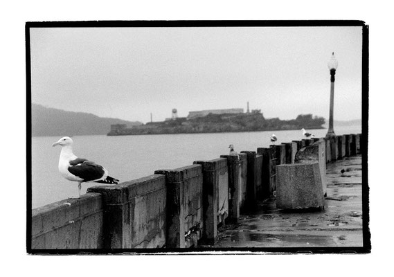 San Francisco, Alcatraz