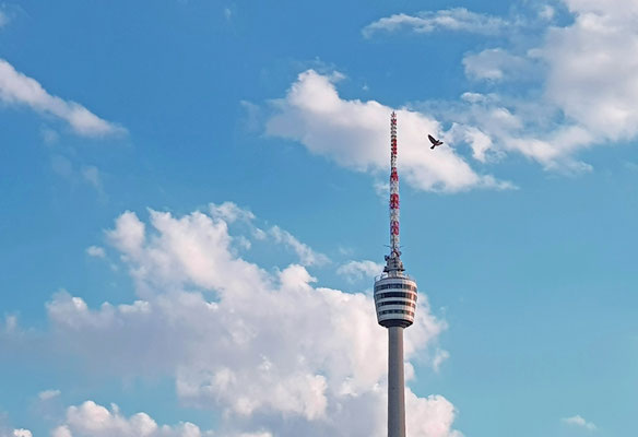 Der frühe Vogel – Fernsehturm Stuttgart am Morgen