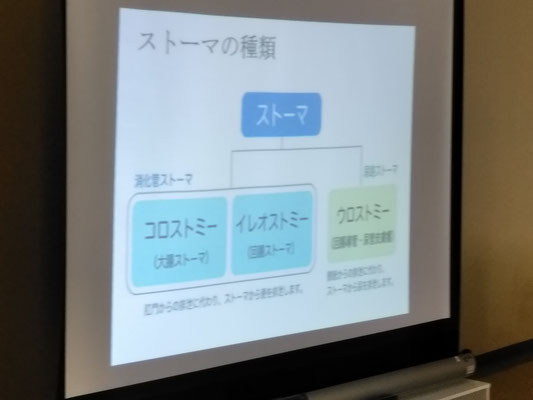 ストーマ装具研修会　座学