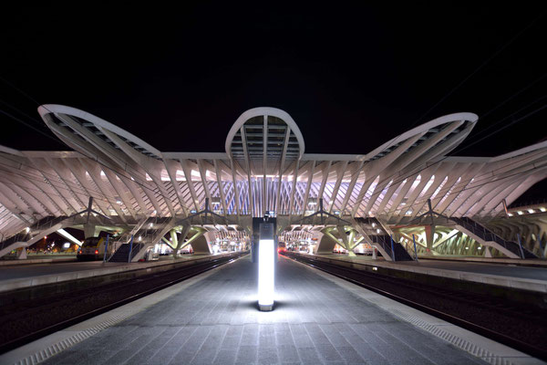 Bahnhof Guillemins Lüttich bei Nacht