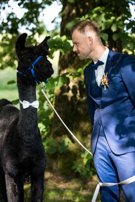 Bräutigam mit Lama