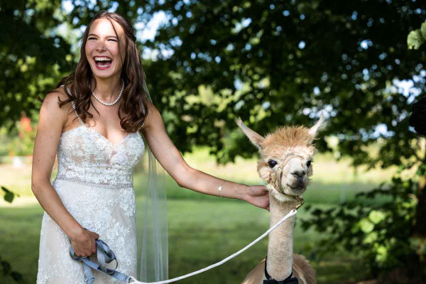 Braut mit Lama