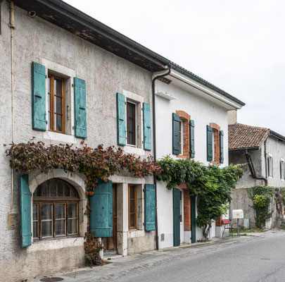 Satigny