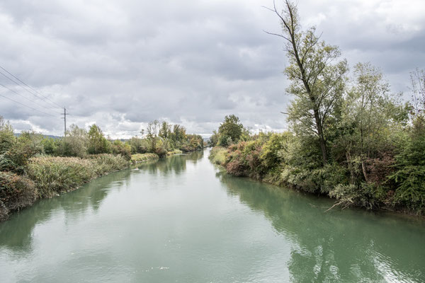 Alte Aare bei Walperswilerbrücke