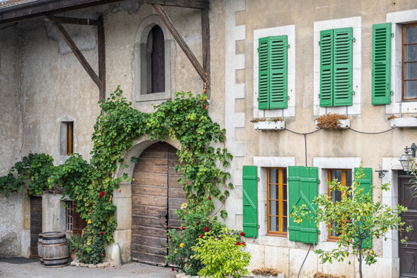 Satigny