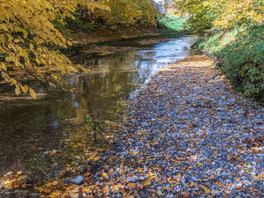 Eulachlauf bei Wülflingen