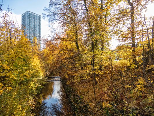 Wiederaustritt bei Neuwiesenstrasse