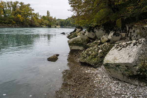 Rhone bei Chancy