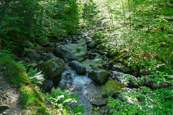 Riale del Pizzo Leone