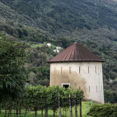 Fortini di Fame Camorino
