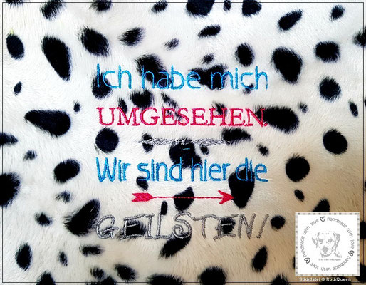 Wir sind die Geilsten [Datei©RockQueen]