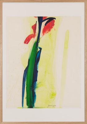 Gottfried Mairwöger, Gladiole II, 1973, Öl auf Papier, 75 x 62,5 cm - verfügbar